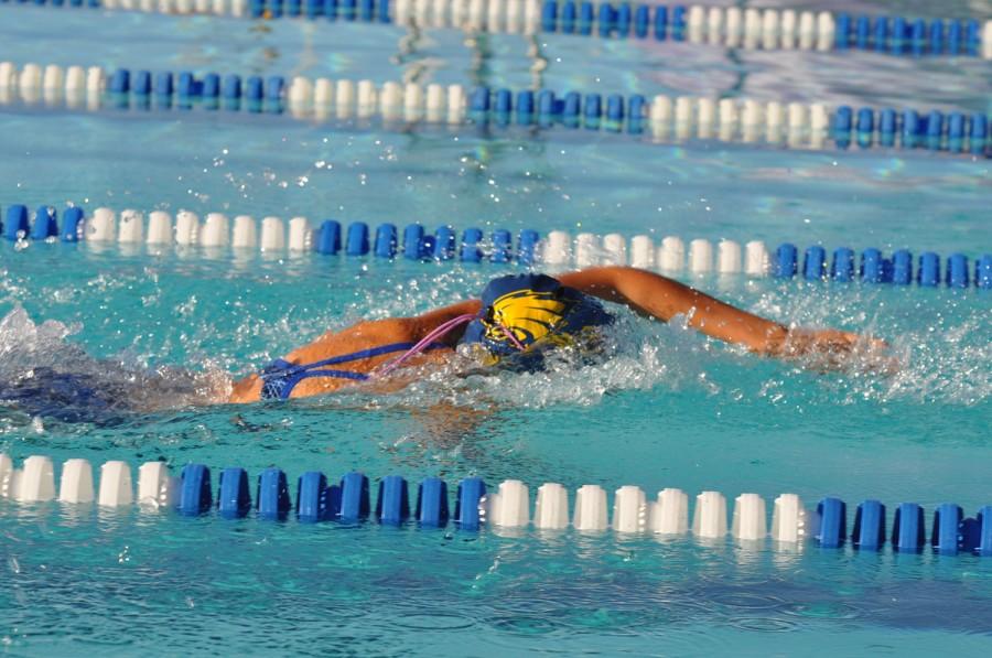 Mayley Madrid, senior, made finals in the 100 Freestyle and the 50 Freestyle at Regionals. She also swam in two  different relays.