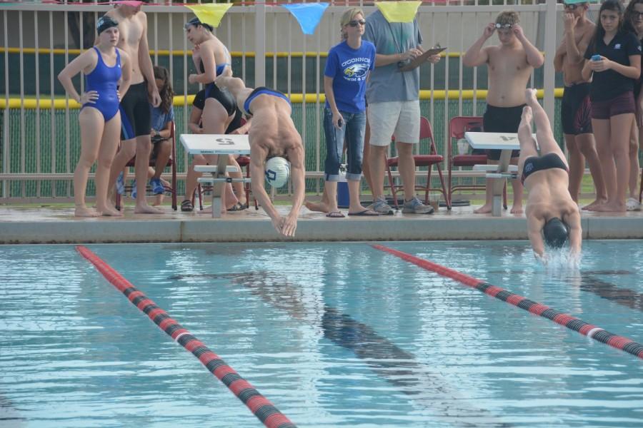 Keegan Koch, senior, dives into the pool to start a race. 