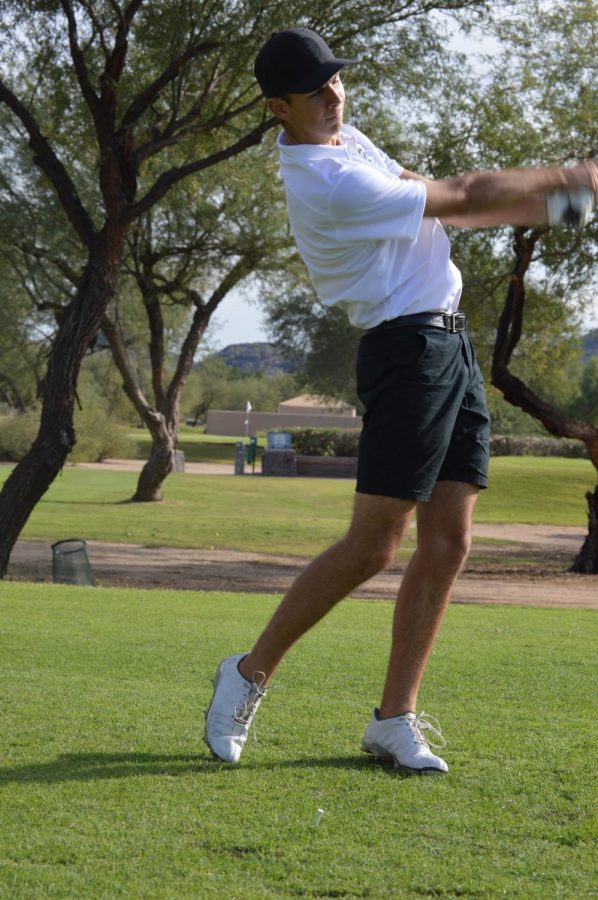 Boys golf hits a birdie on the way to state