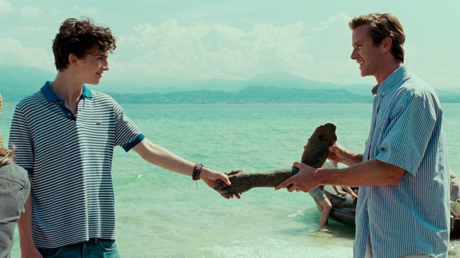 Elio and Olivers Truce scene from Call Me by Your Name