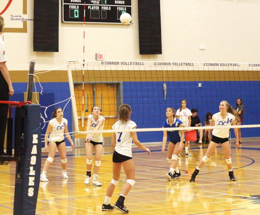 Girls Volleyball Sets the Path for the New Season