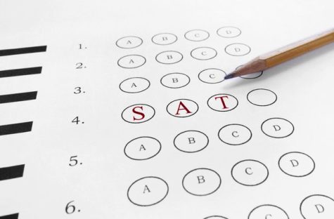 Are standardized tests a true measure of intelligence?