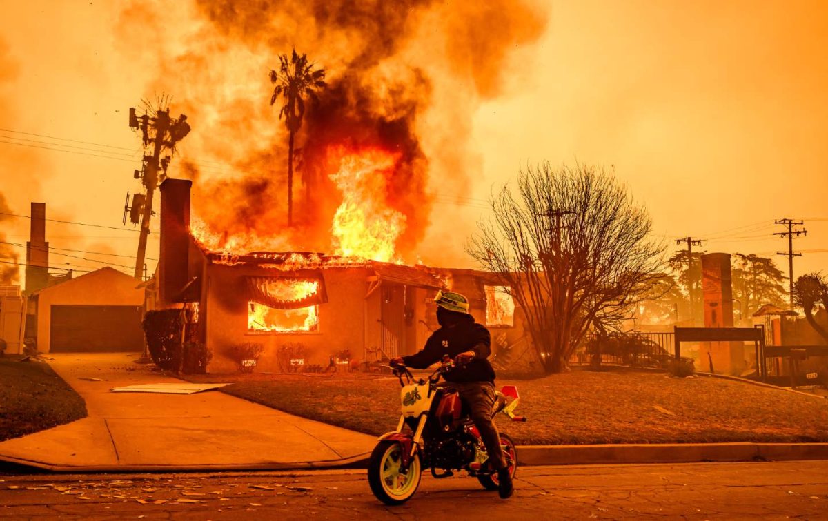 Photo courtesy of "The Nation".