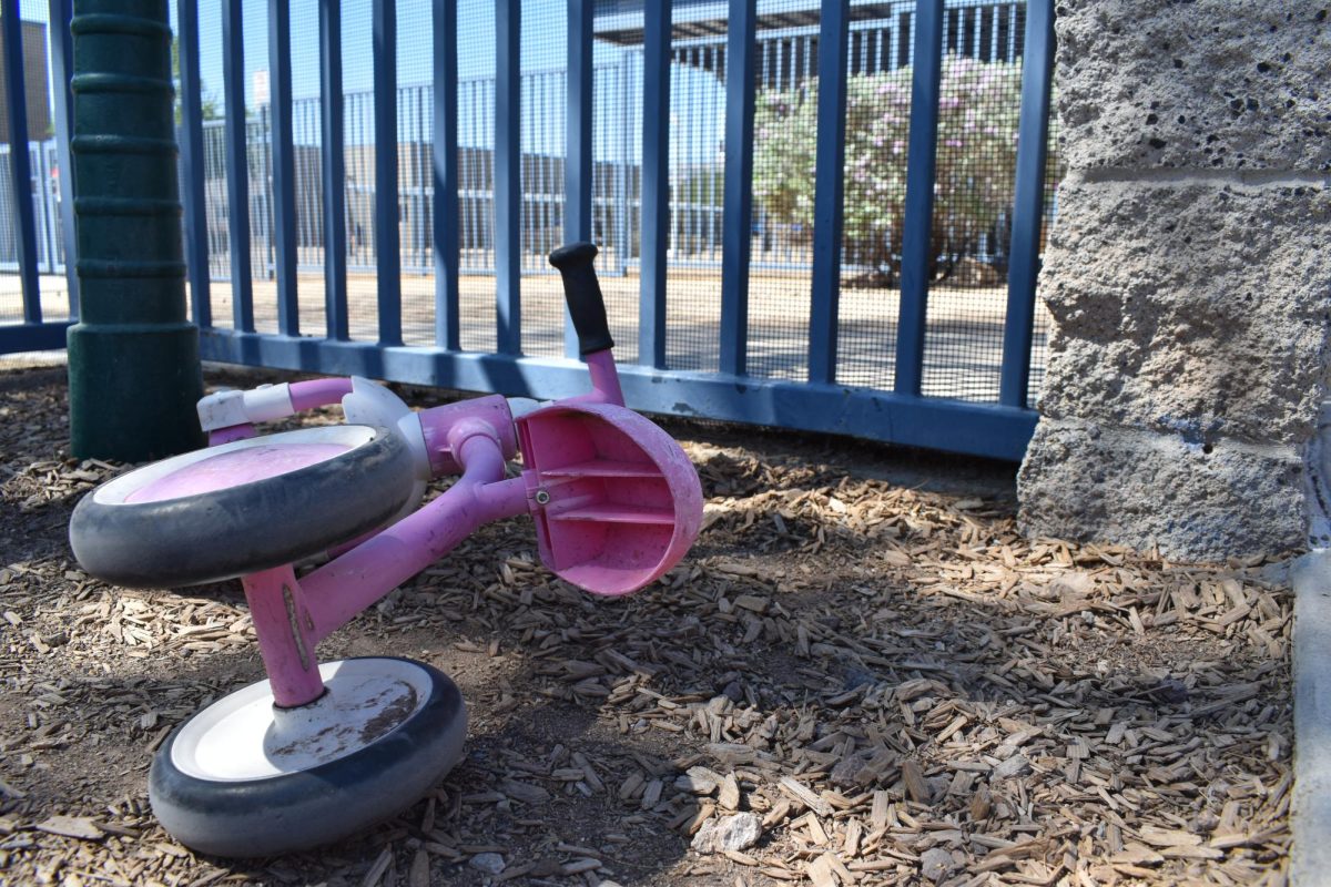 As the internet becomes more accessible to children, playgrounds and their equipment have been abandoned.