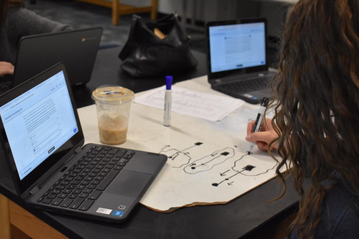 In class, students prepare for their AP test through resources like College Board.